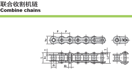 �����ո����