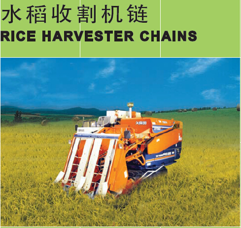 ˮ���ո����