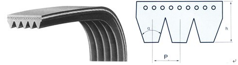 J/PK/L/Mϵ�ж�Ш��